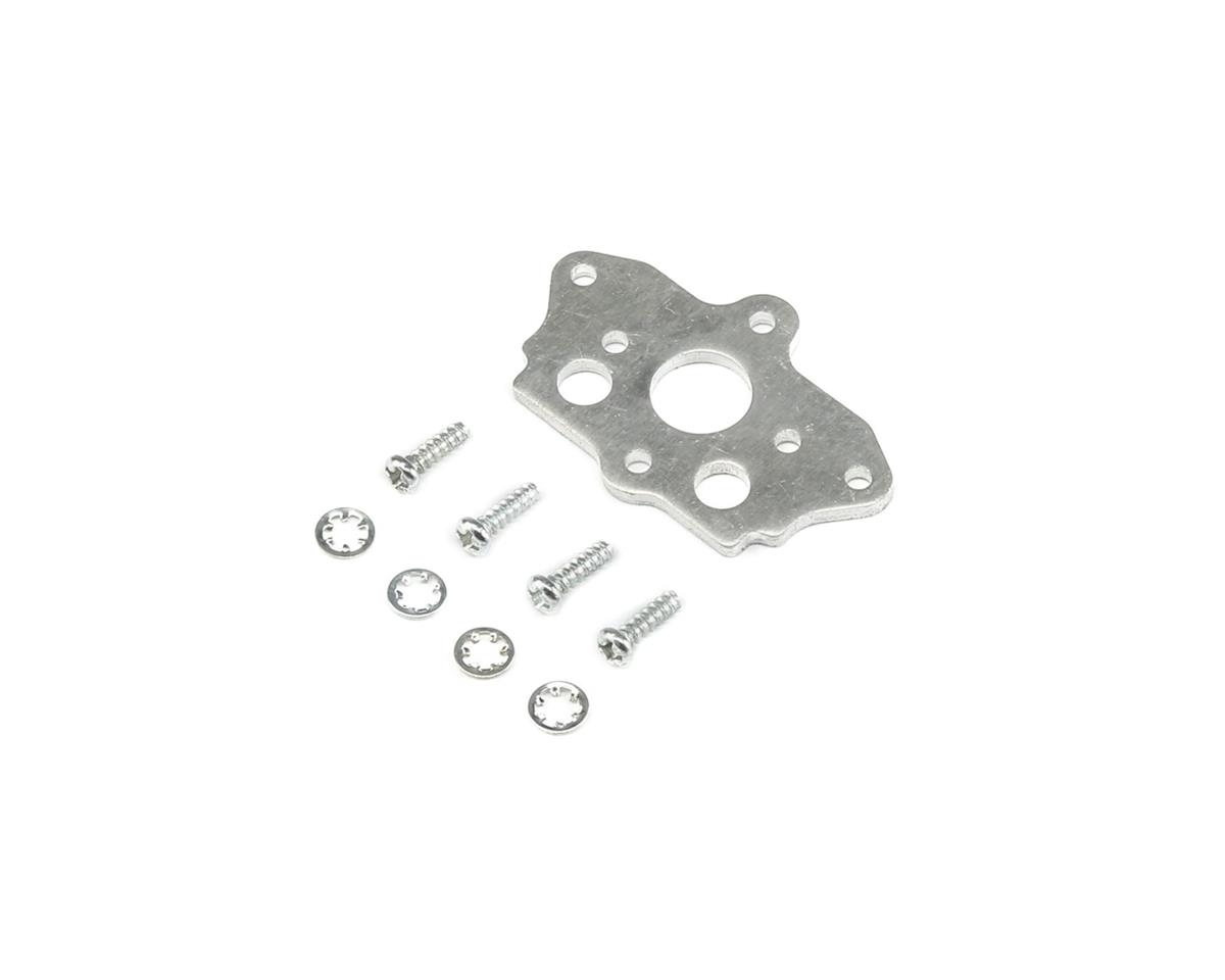 efl11106.jpg