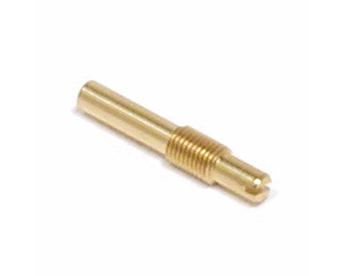 sai18089.jpg