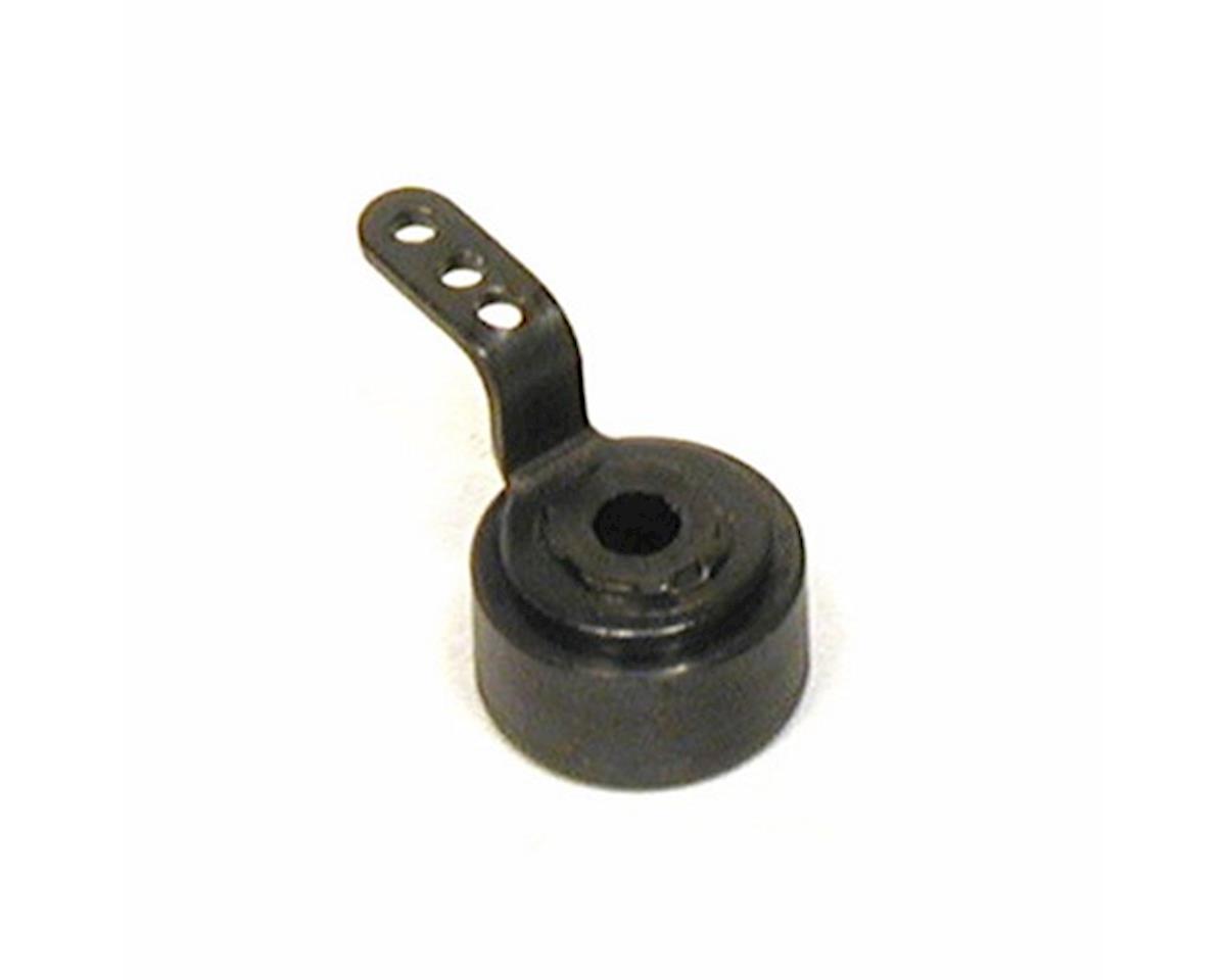 sai325r588.jpg