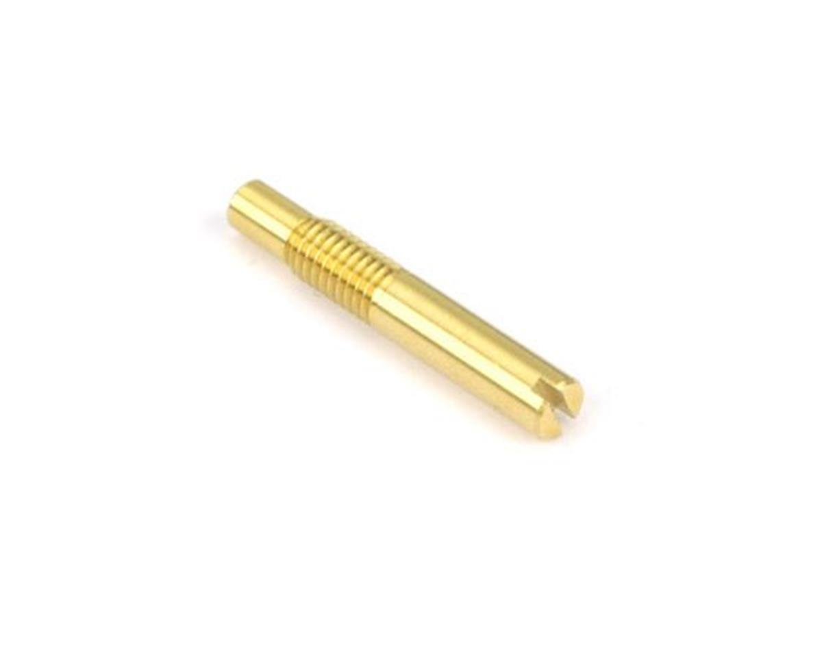 sai40a89.jpg