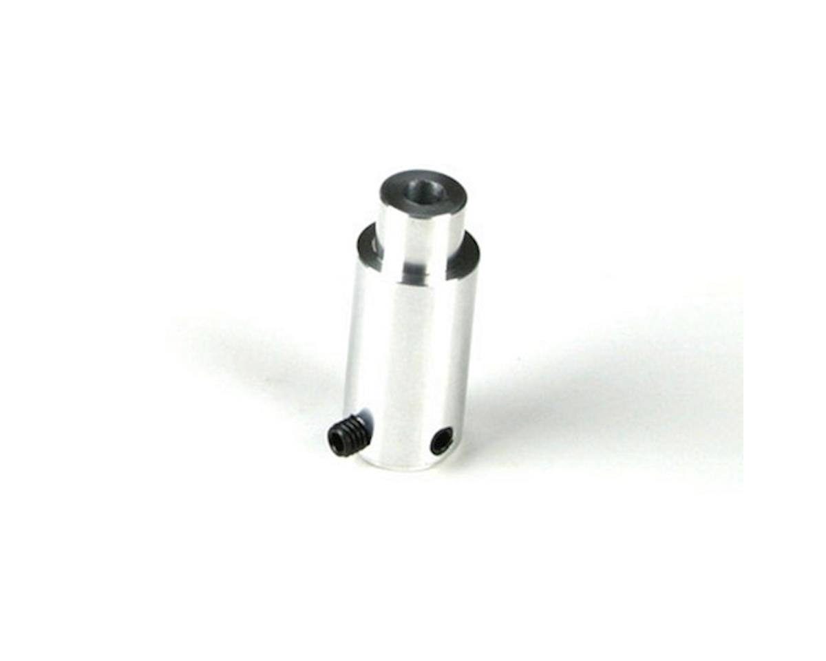 sai90r3131.jpg